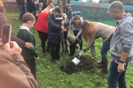 The tree planting