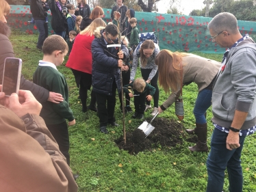 The tree planting