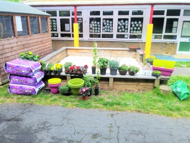 Some of the planting that took place